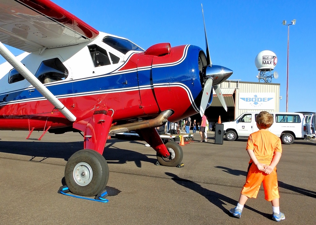 Lookin' it Over: Beaver